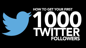 How do you get 1000 followers on Twitter fast