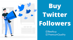buy real twitter followers