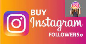 buy real instagram followers